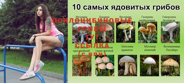 трава Алексеевка