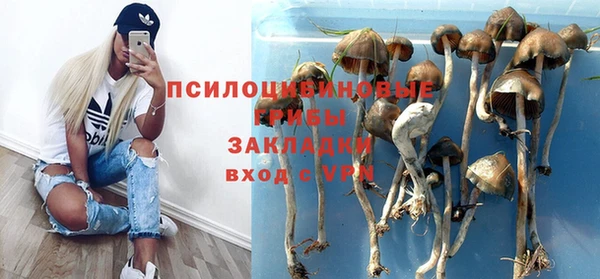 PSILOCYBIN Алзамай
