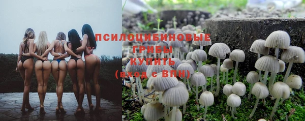 амфетамин Алексин