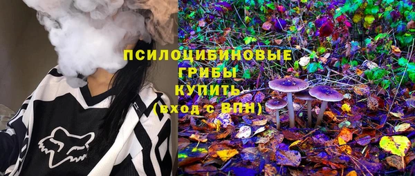 PSILOCYBIN Алзамай