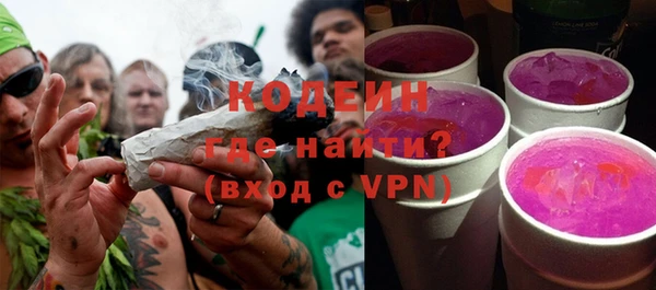 PSILOCYBIN Алзамай