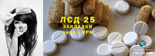 PSILOCYBIN Алзамай